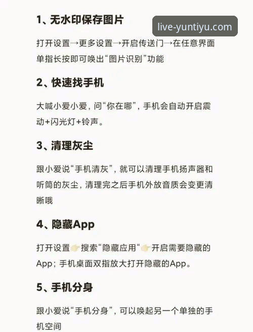 深度揭秘云体育app功能：新手必知的五大隐藏亮点与真实体验